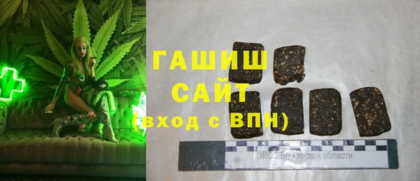 индика Алзамай