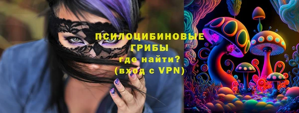индика Алзамай