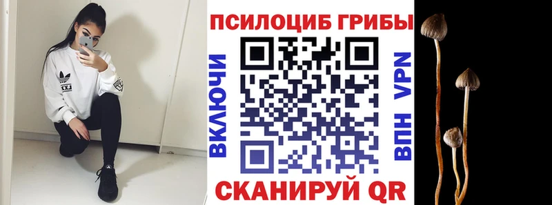 площадка состав  Звенигово  Галлюциногенные грибы ЛСД 