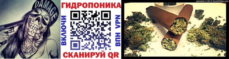 купить закладку  Звенигово  Шишки марихуана SATIVA & INDICA 